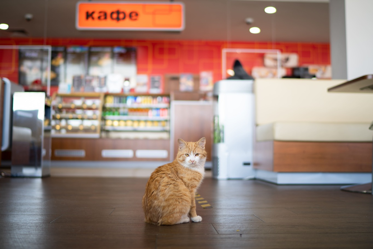 Фото: Александр Плонский / «ВиЖ»