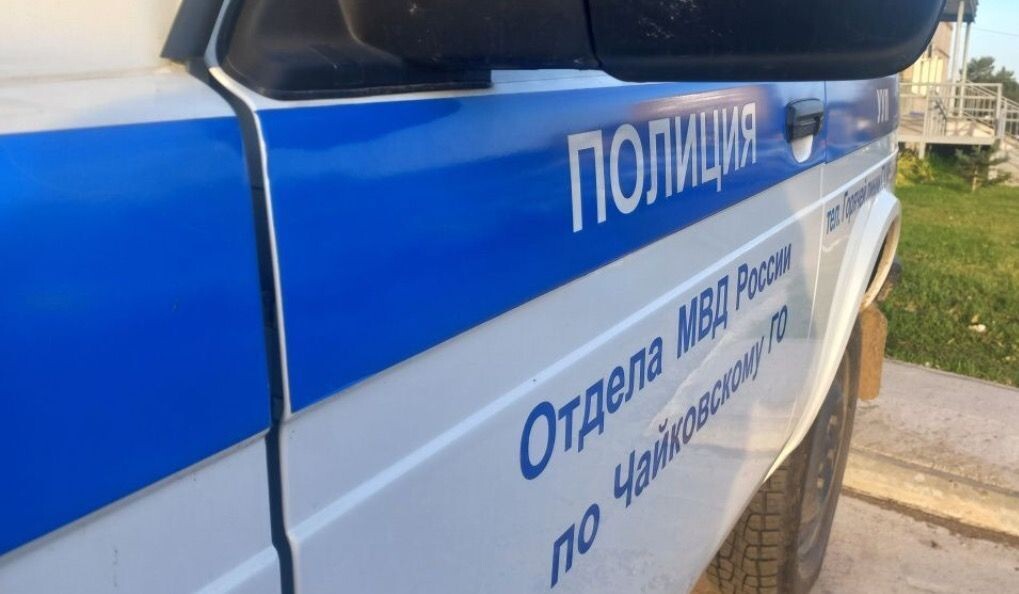     Патрульный автомобиль полиции. Источник: ОМВД по ЧГО Автор фото: Отдел МВД по ЧГО