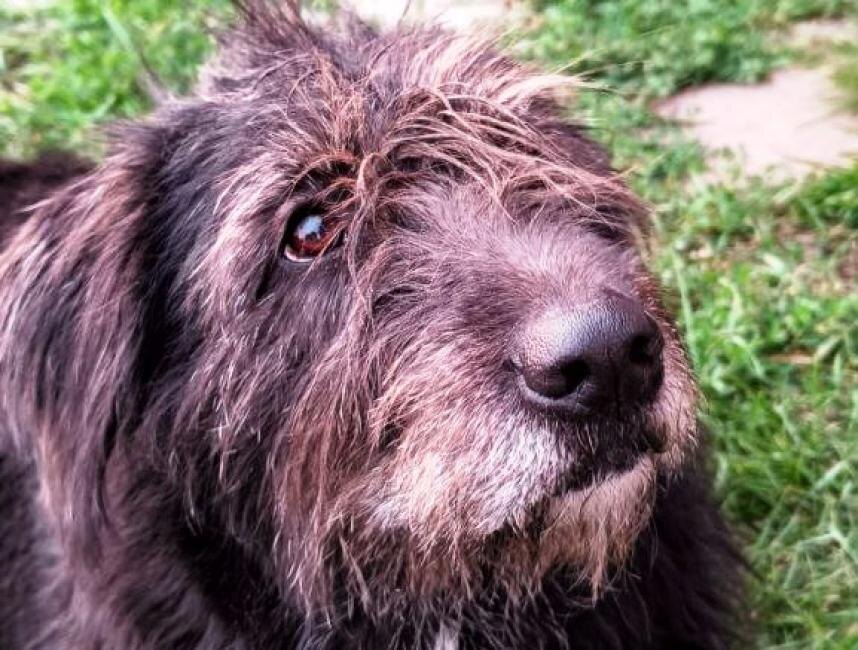    Фото из архива редакции