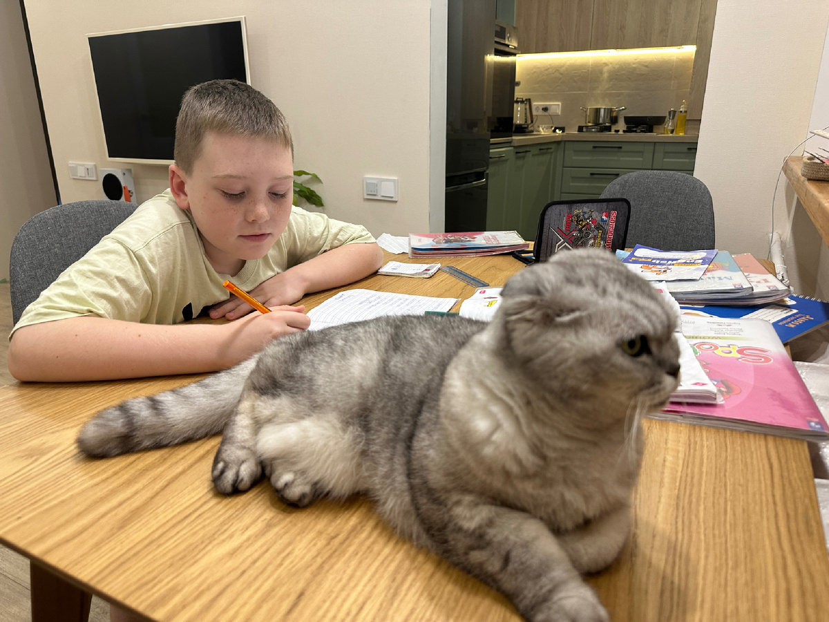 Проверено: уроки с котами рядом проходят спокойнее. Теперь даже не возникает вопроса зачем котик в квартире) Пушистик сохраняет нервы и ребенку и маме