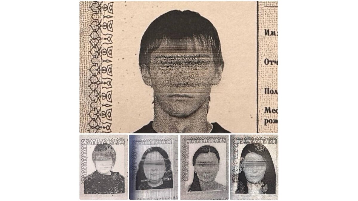    Фото: t.me/procspb