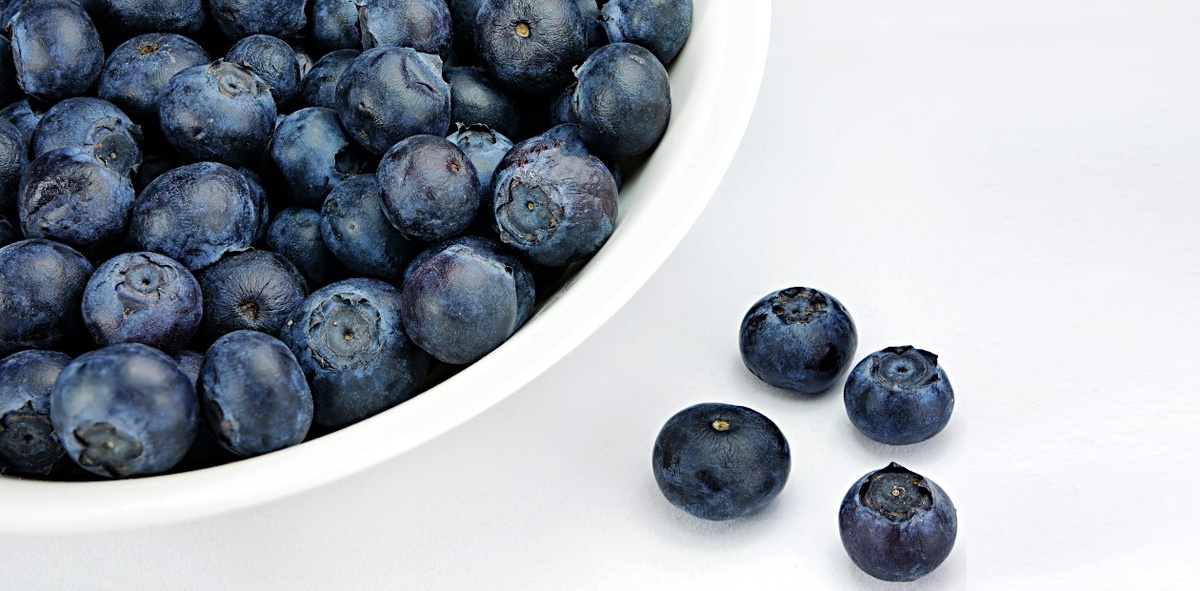 Черника – источник антоцианов