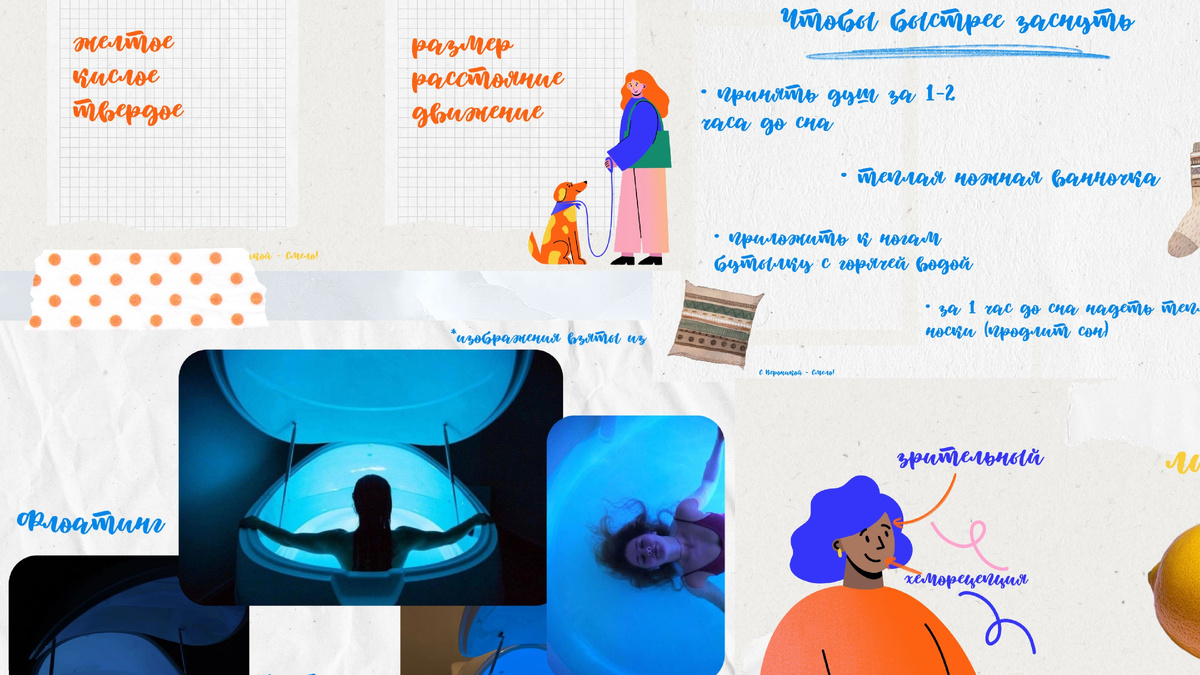 Что вас ждет