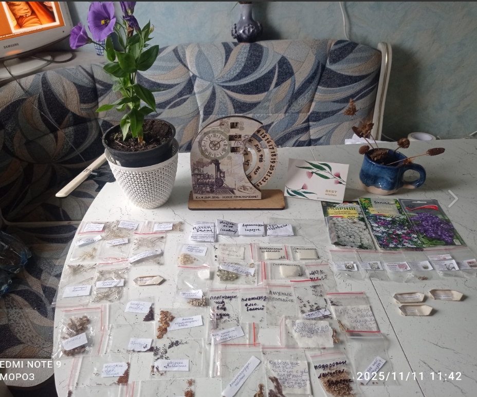 сокровища мои