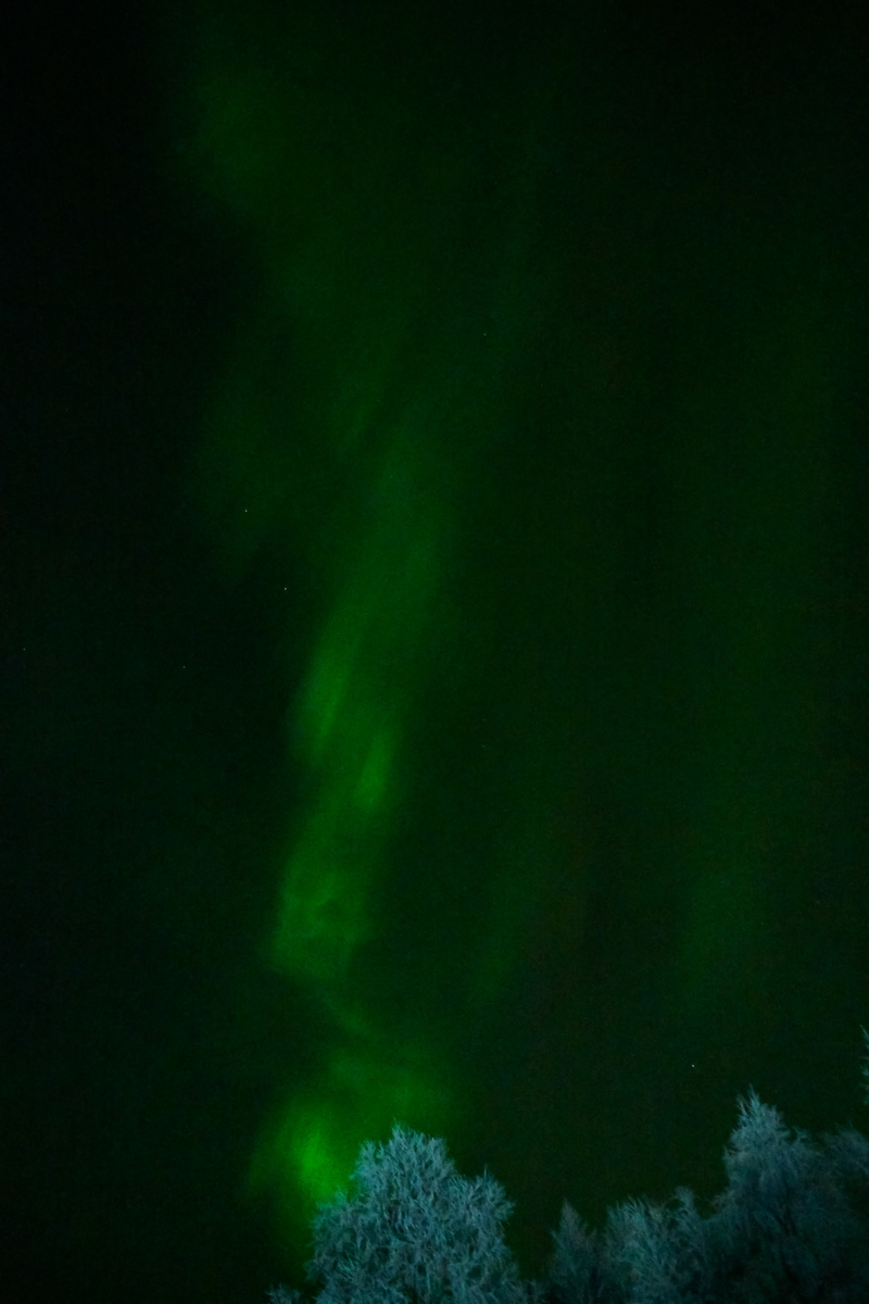 В прошлом году повезло увидеть северное сияние в Мурманске.