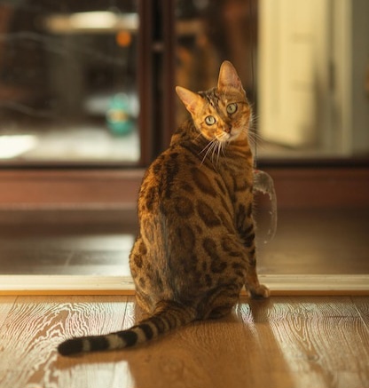 Фото из Интернета.