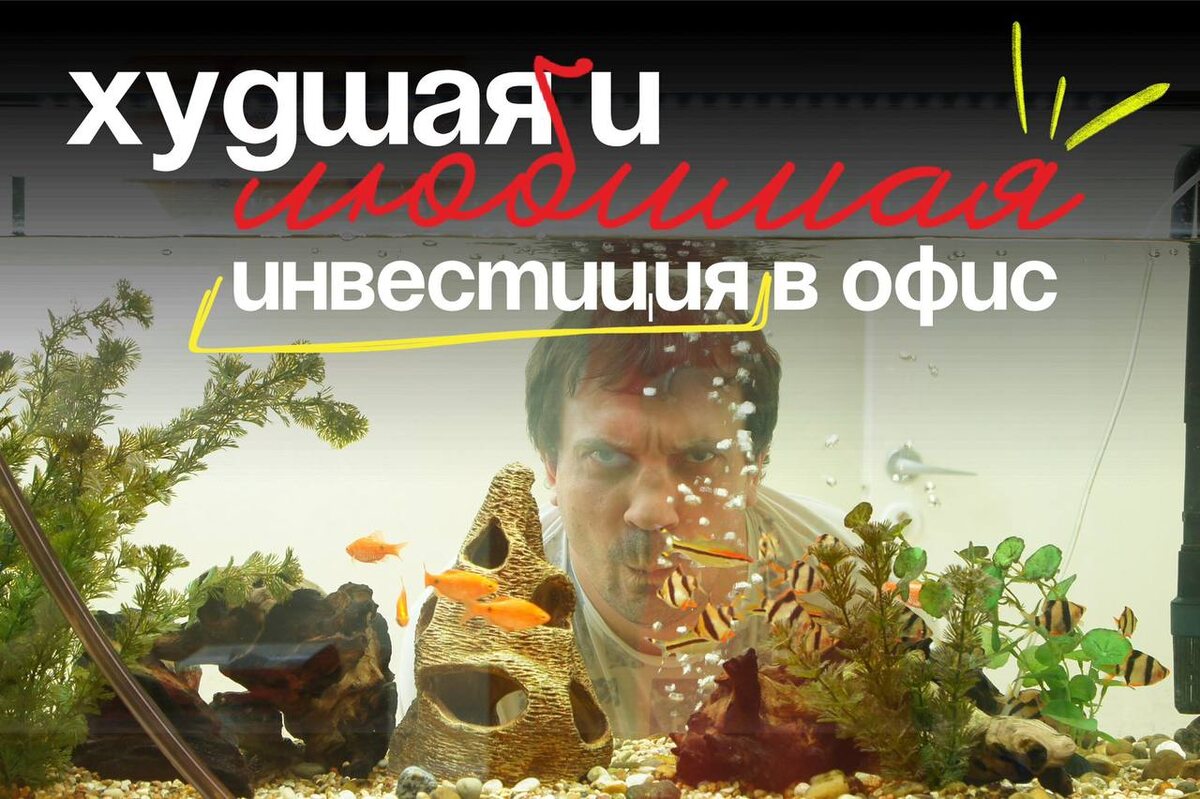 Фотография сделана в нашем Питерском офисе в 2016 году,