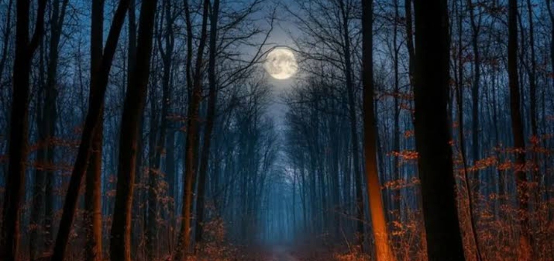 Ночные мороки: тайны славянской магии и кошмары, которые приходят ночью.