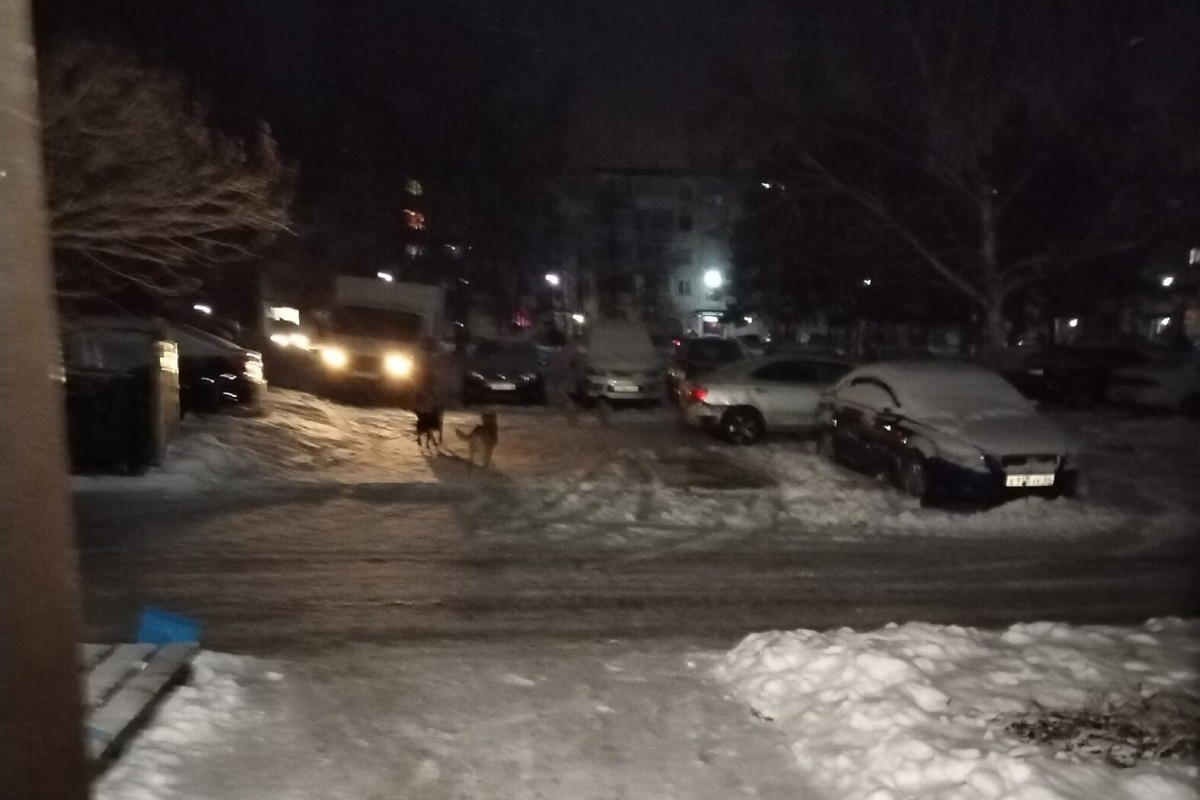    Фото: У нас на Шлюзе \ ВКонтакте