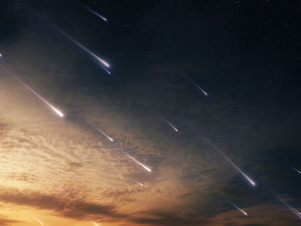    Фото: istockphoto.com/Nazarii Neshcherenskyi