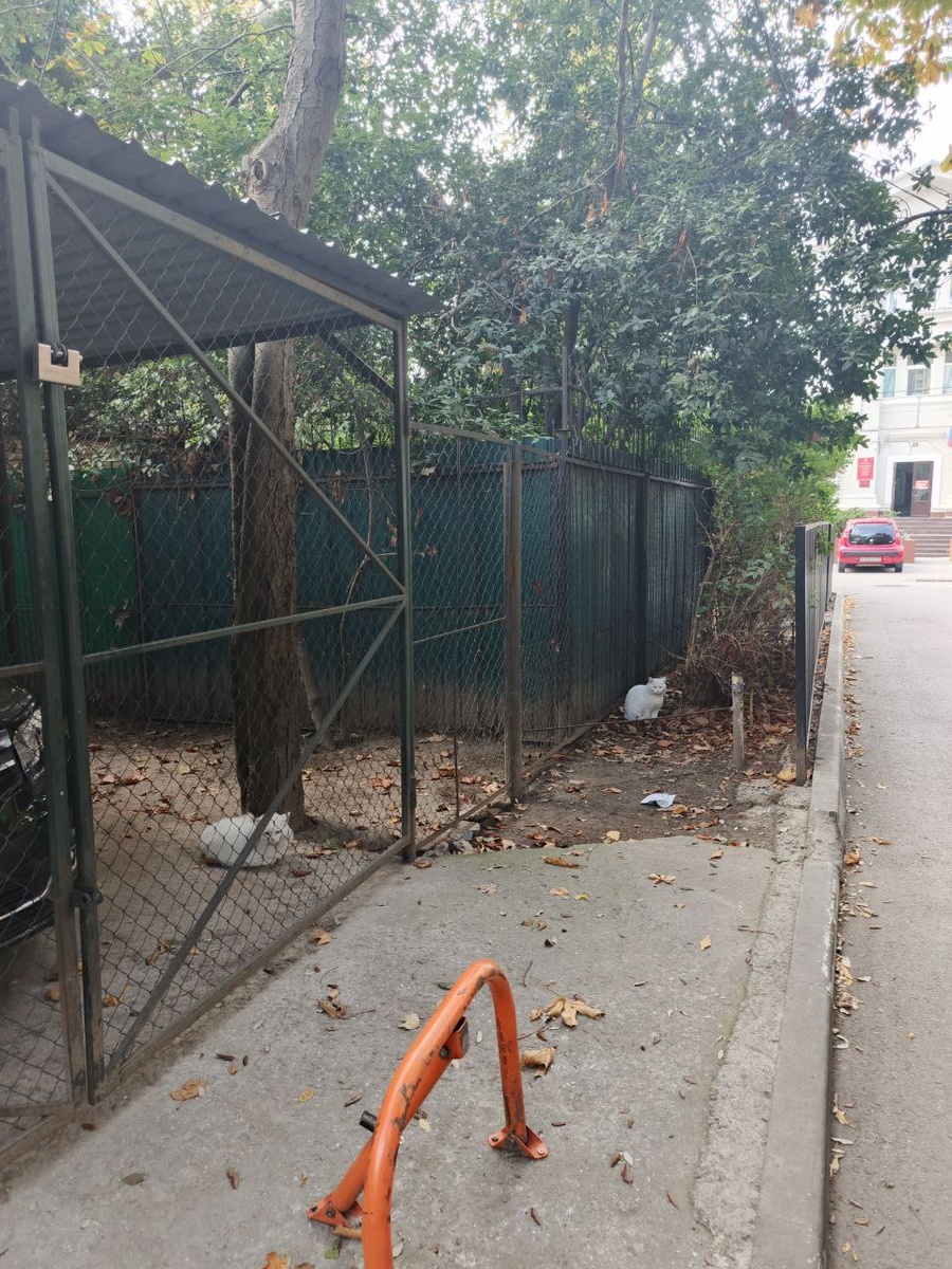 Соображают на двоих?