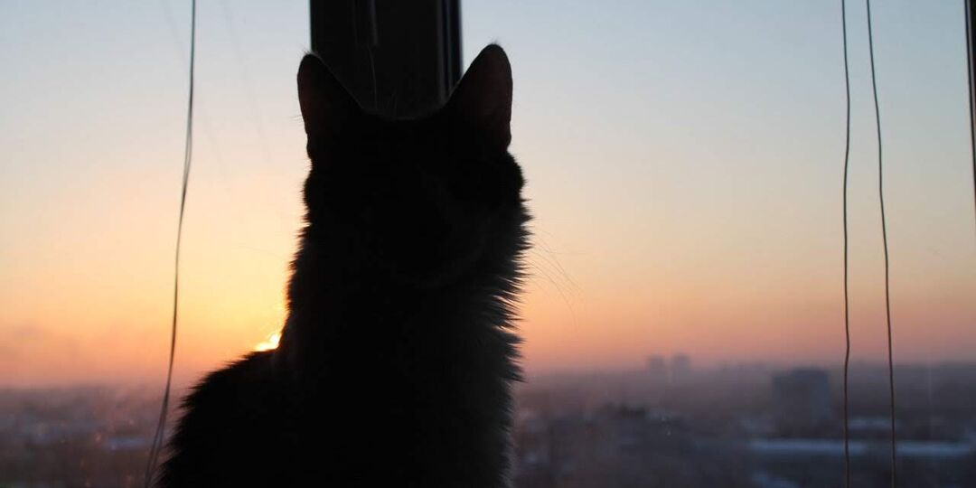 Не пропал(*)