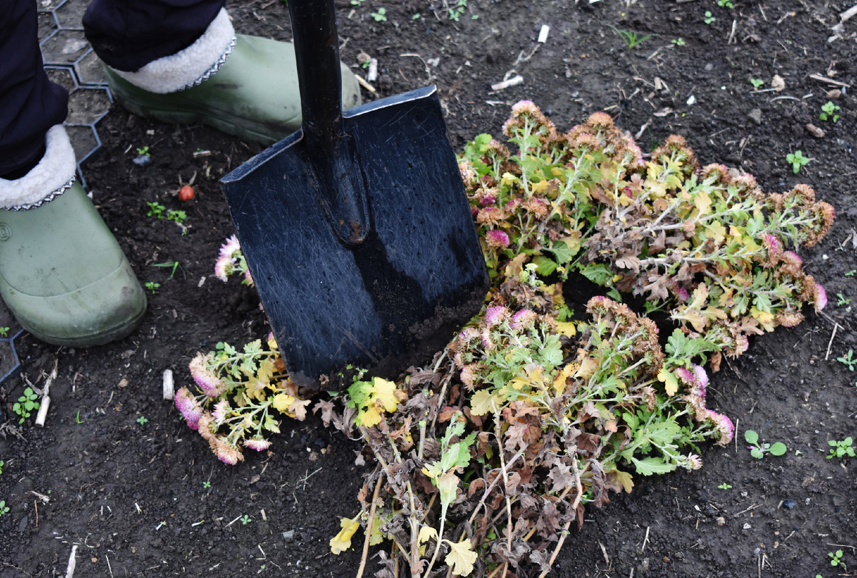 Измельчать лопатой быстрее всего