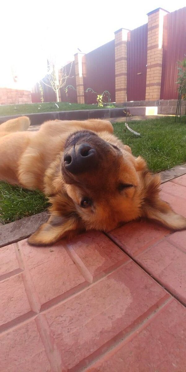 Моя Даша, которая уже на радуге 💧