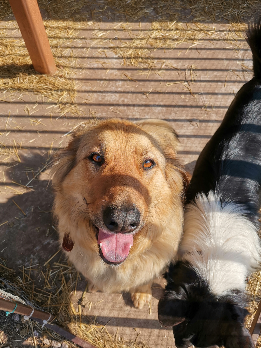 У нее очень красивые глаза…