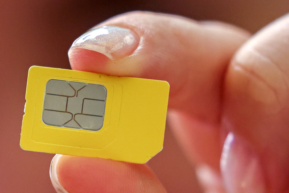    Алексей Белкин/NEWS.ru