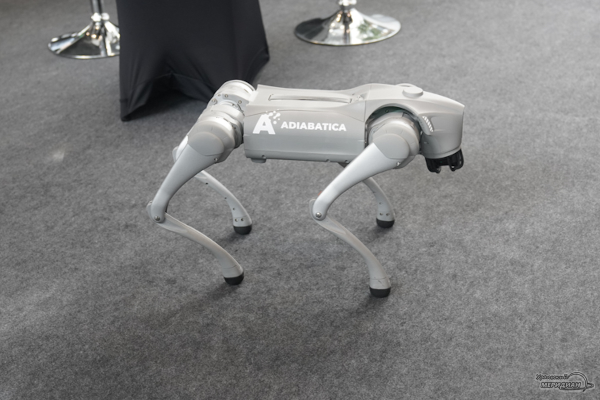    Фото: Лидия Аникина © ИА «Уральский меридиан»