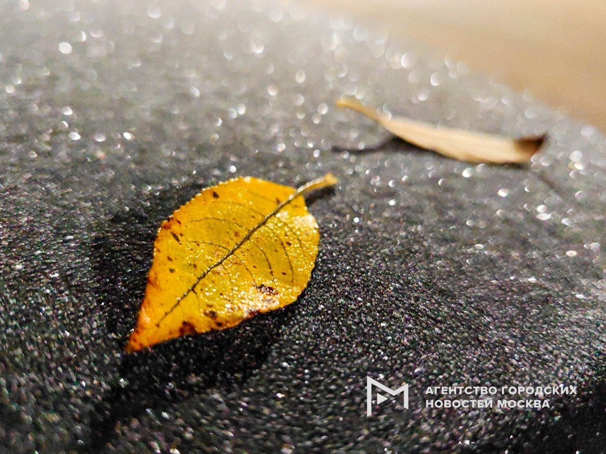 Фотограф: Василий Кузьмичёнок