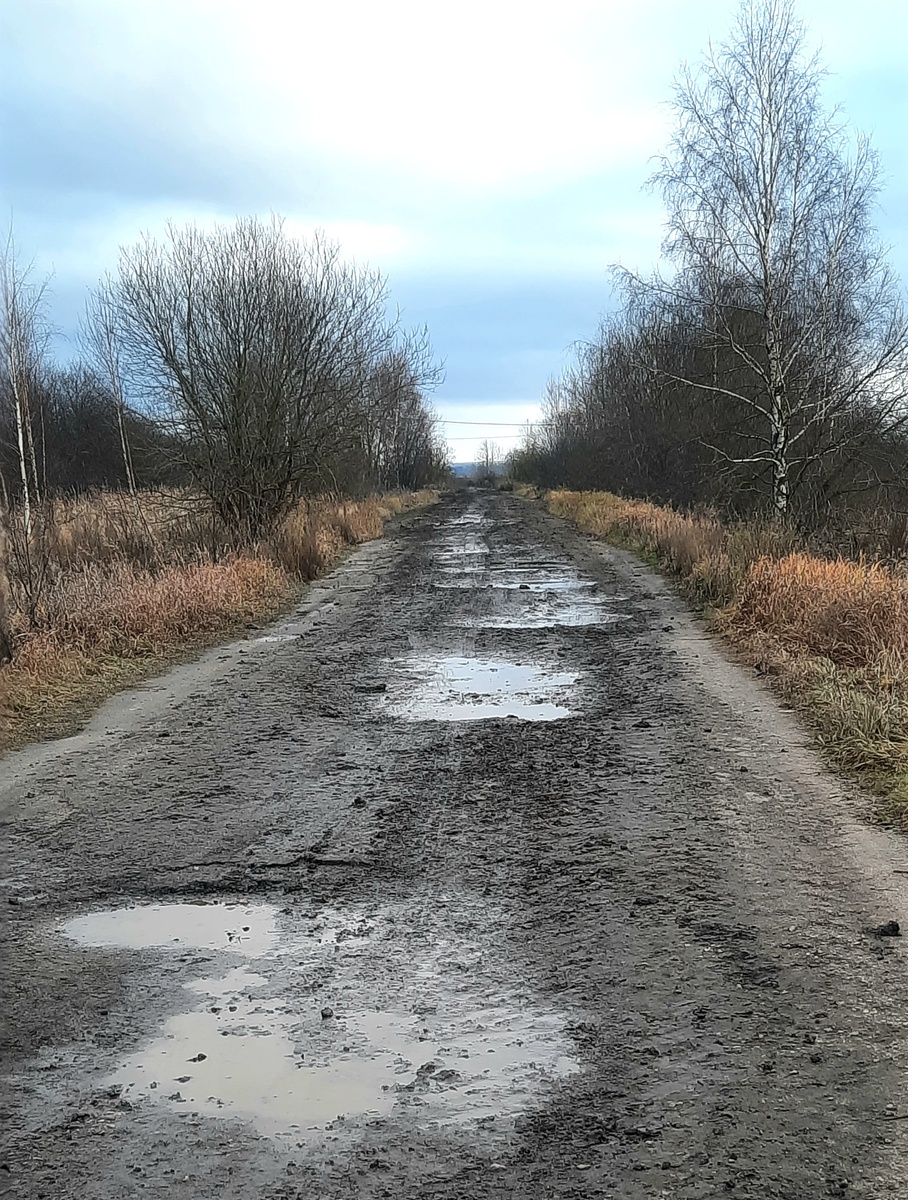 Фото автора. 