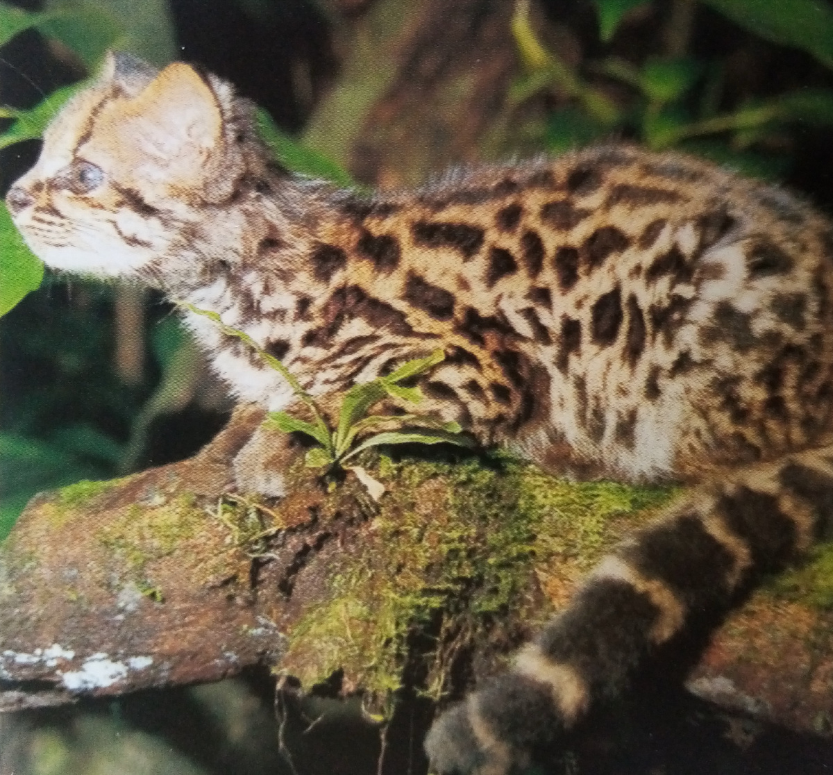 Фото взято из открытых источников