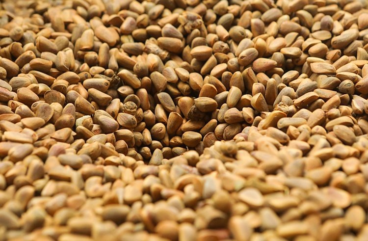    Фото: Правительство Приморского края