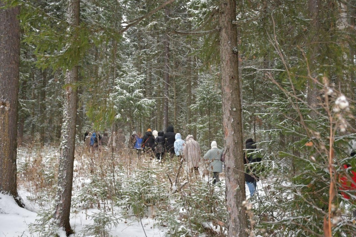    В Салыме построят экотропу в кедровую рощу