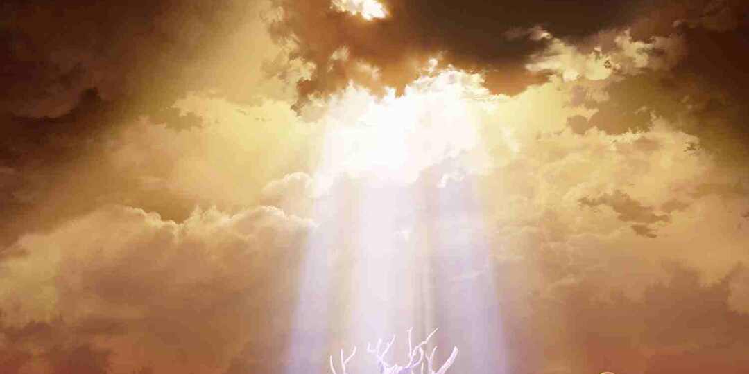 Может ли человек изменить свою судьбу?