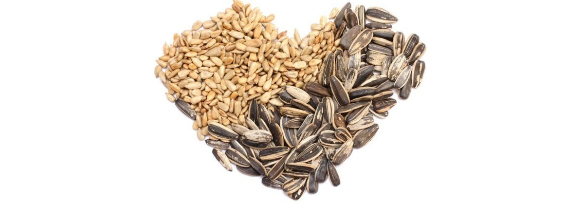 Лецитин производят из различных источников, включая соевые бобы, семена подсолнечника и яичные желтки, причем добавки из яиц встречаются крайне редко из-за высокой стоимости их производства.