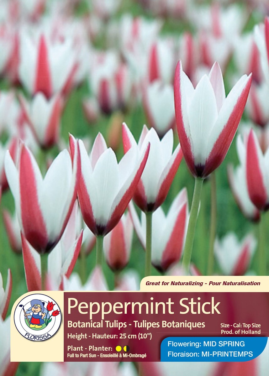 Фото из общедоступных источников