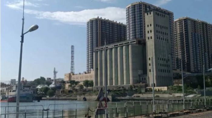 Иллюстрация: Анастасия Талызина