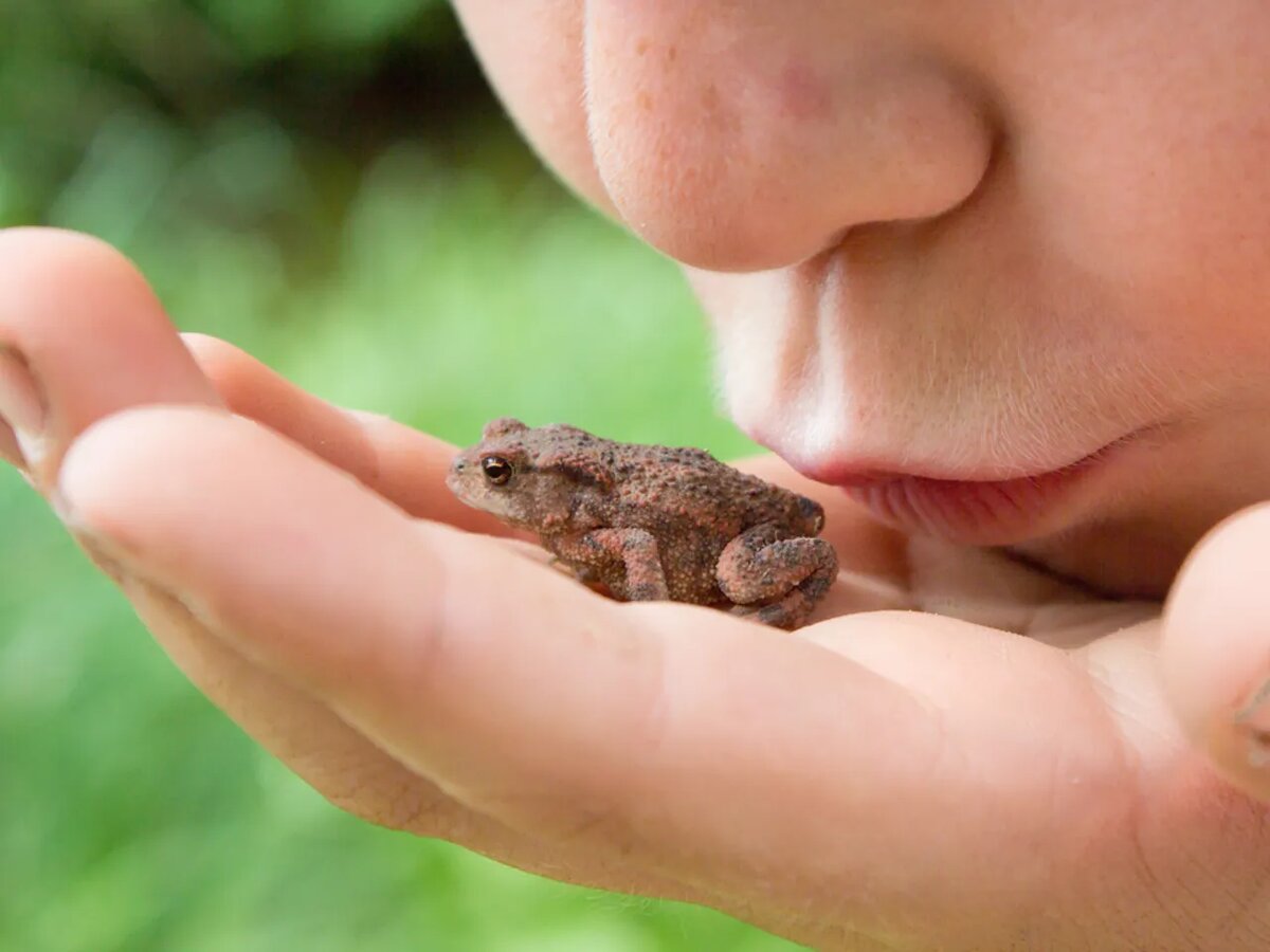 Фотография из интернета