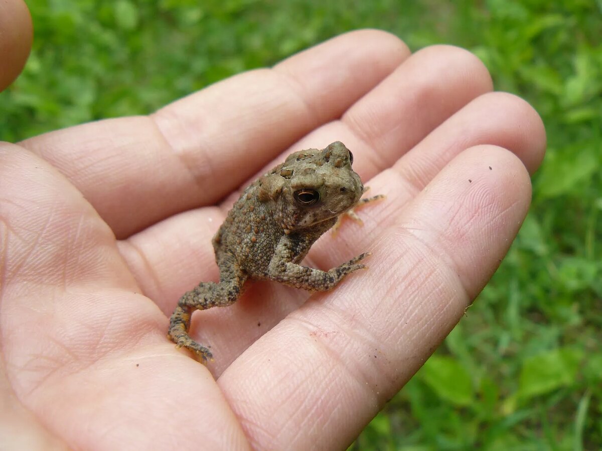 Фотография из интернета