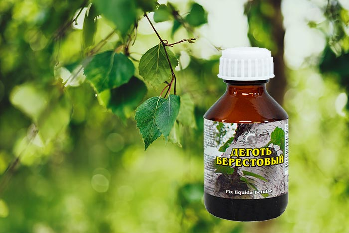Тайное оружие садовода: как берёзовый дёготь спасает мой огород от вредителей
