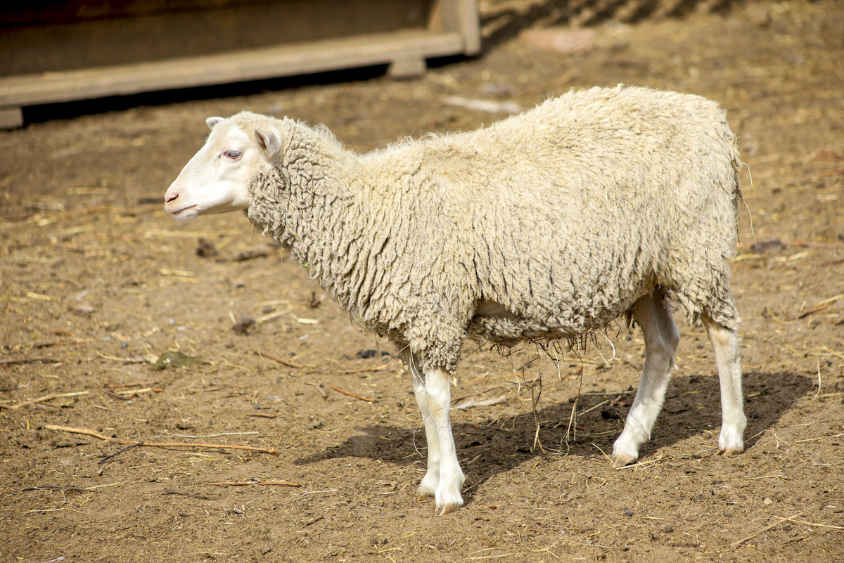 На данный момент мужчину задержали.  Фото: ФедералПресс / Елена Майорова