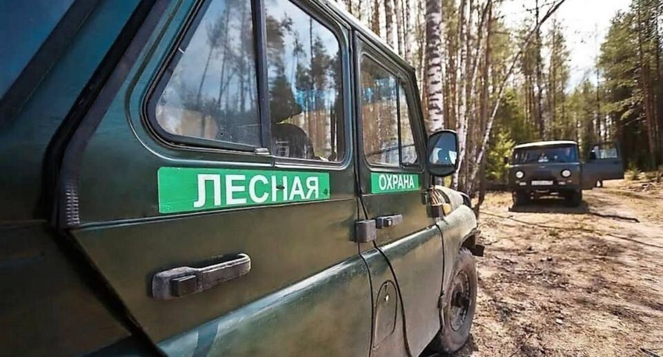    Комитет лесного хозяйства Московской области