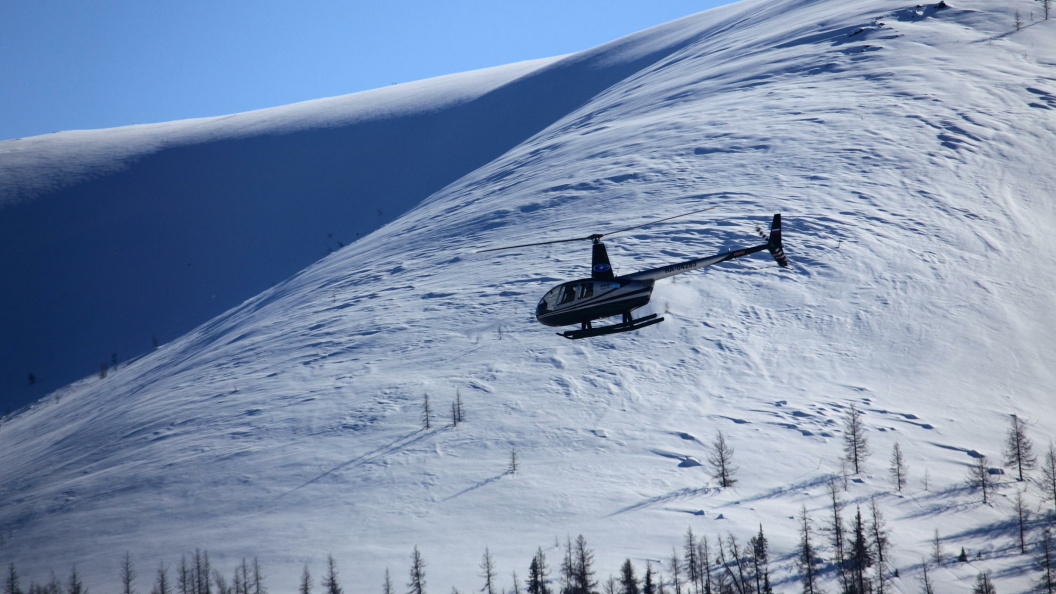    фото:Nikolay Gyngazov/Russian Look/Globallookpress