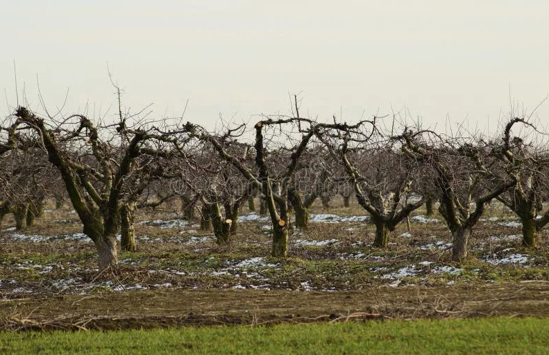 Все фото из интернета