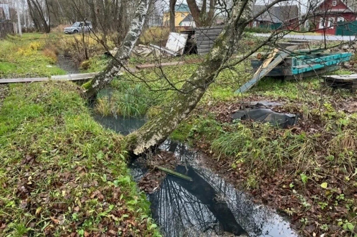    У жителя Твери затапливает дом из-за заброшенных дренажных канав