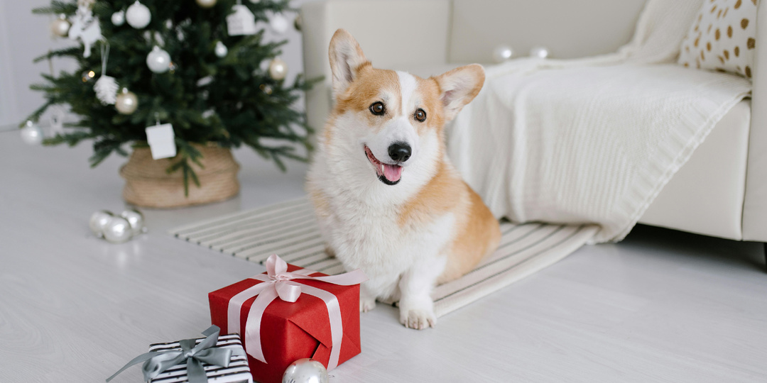 Как подготовиться к праздникам и получить выгоду, а не выгорание