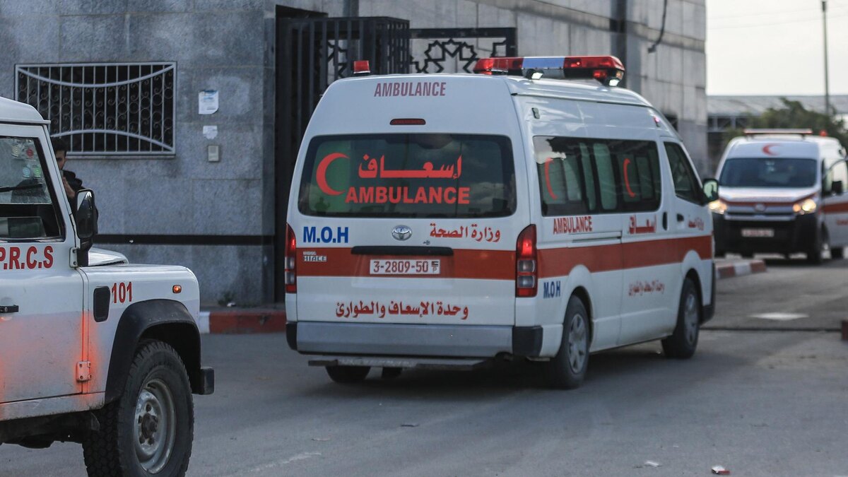    Фото: Mohammed Talatene/globallookpress.com