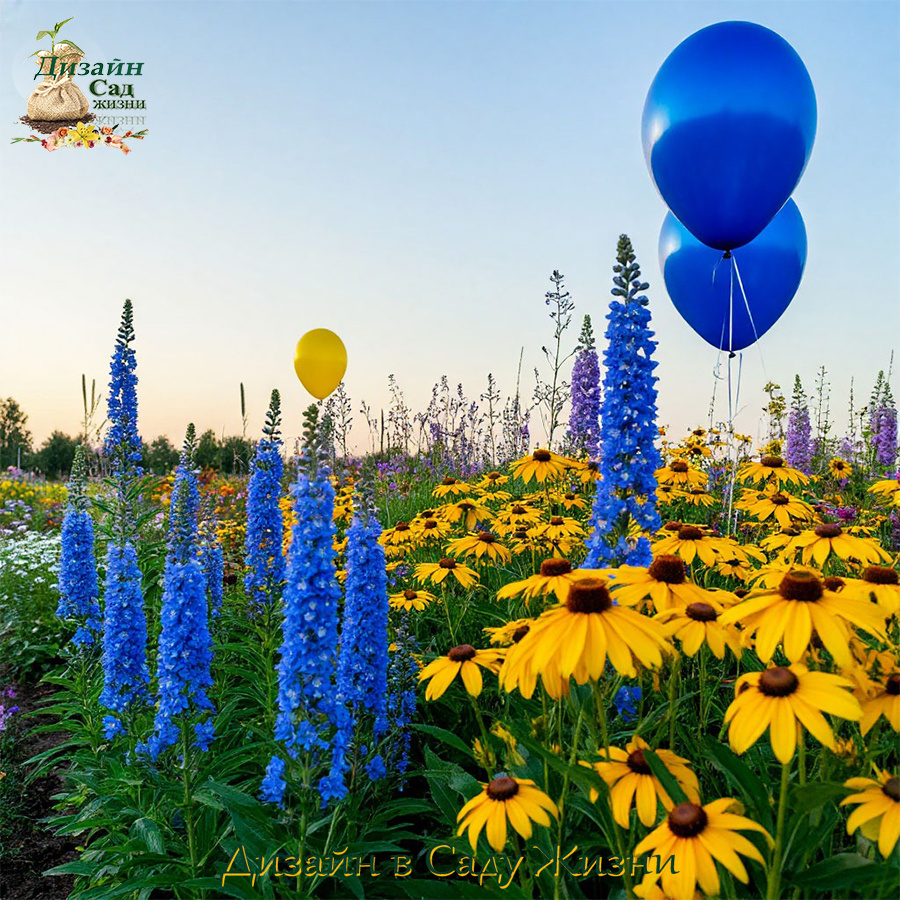 Гармонирующие цвета: синий и желтый