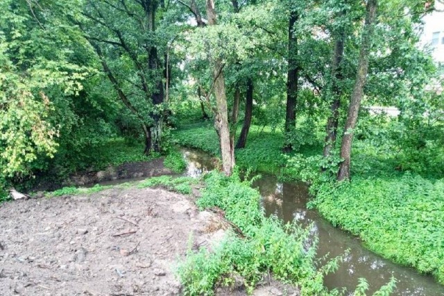   Фото: региональный Минприроды, «ВКонтакте»