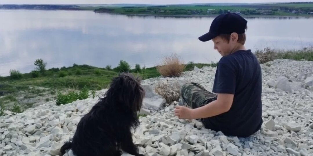 Гуляй сюда. Выяснили, начнут ли в Самаре строить площадки для собак