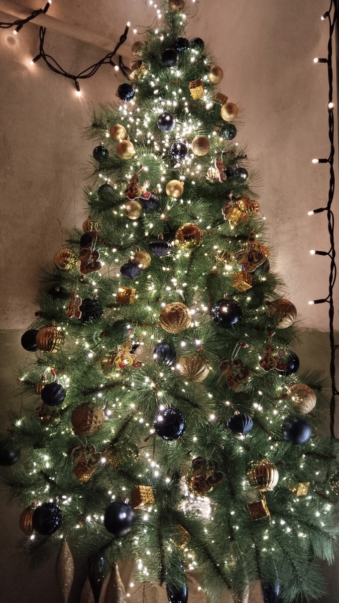 Это наша домашняя ёлка