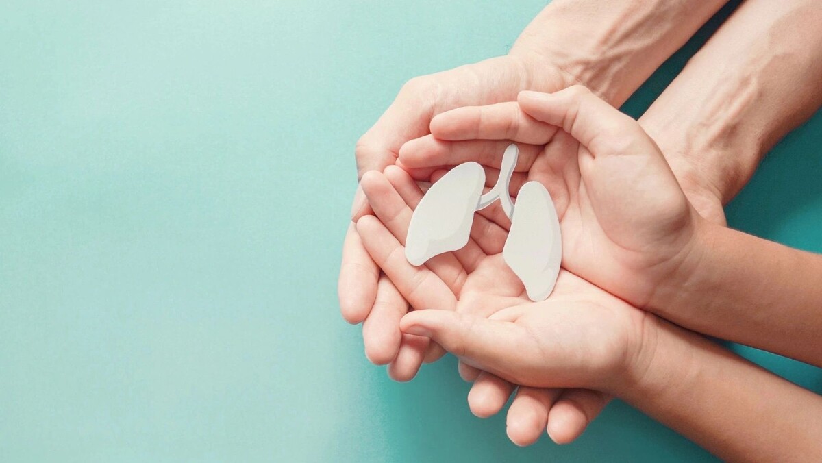    Фото: SewCreamStudio/Shutterstock/Fotodom