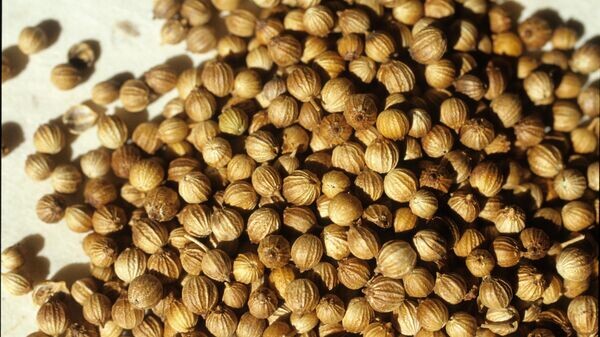    © Getty Images / Veronique DURRUTY