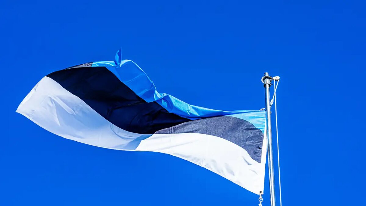    Государственный флаг Эстонии. © unsplash.com / chris robert