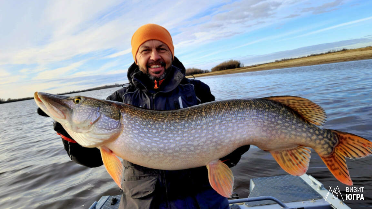 Фото: Дмитрий Новиков