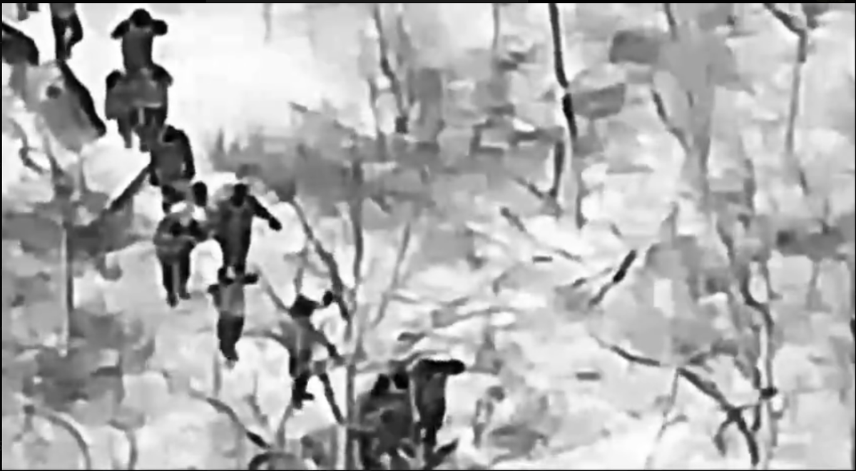 Украинские военные сдаются в плен видео