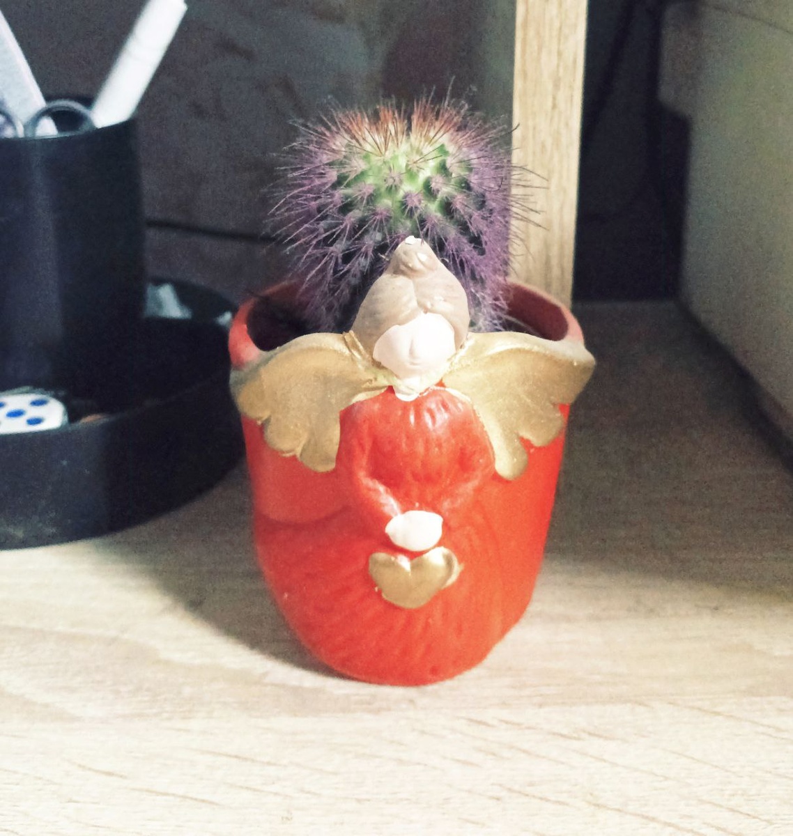 кактус обережка